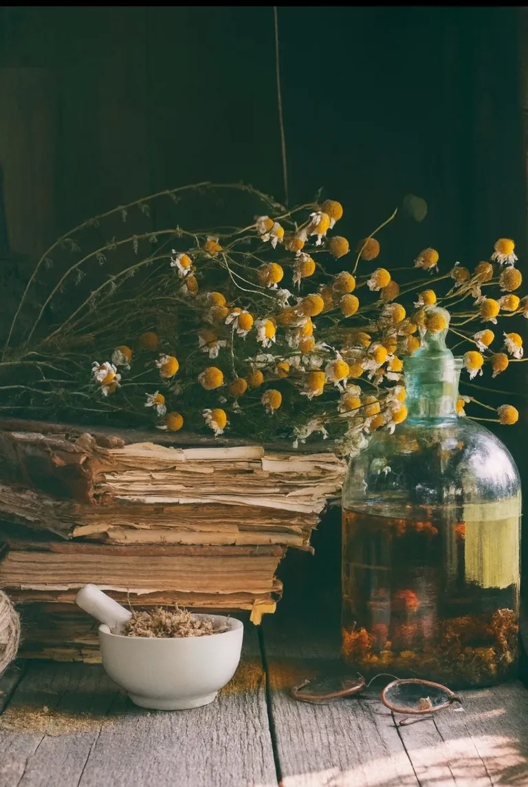 Apothecary