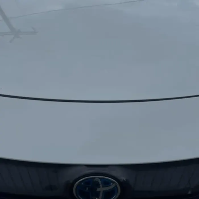 Lourenco Cleaning Services auto detailing project photo from Facebook