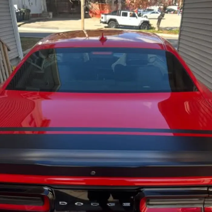 Lourenco Cleaning Services auto detailing project photo from Facebook
