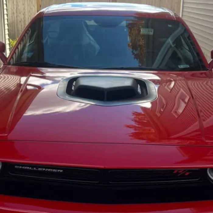 Lourenco Cleaning Services auto detailing project photo from Facebook