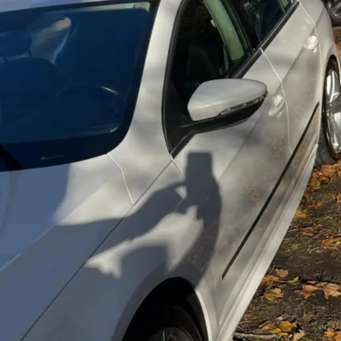 Lourenco Cleaning Services auto detailing project photo from Facebook