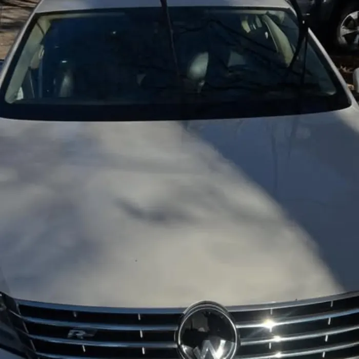 Lourenco Cleaning Services auto detailing project photo from Facebook