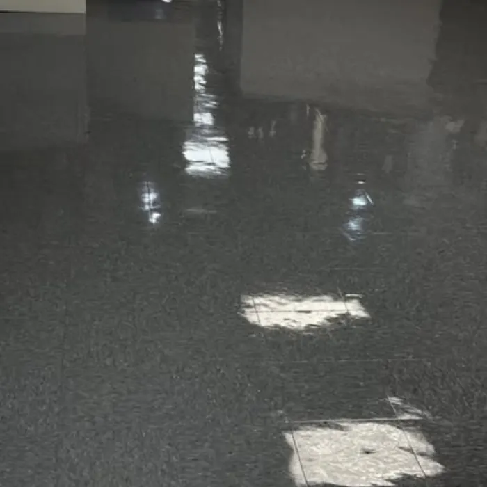 Lourenco Cleaning Services auto detailing project photo from Facebook