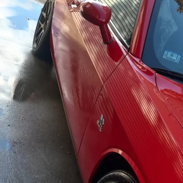 Lourenco Cleaning Services auto detailing project photo from Facebook