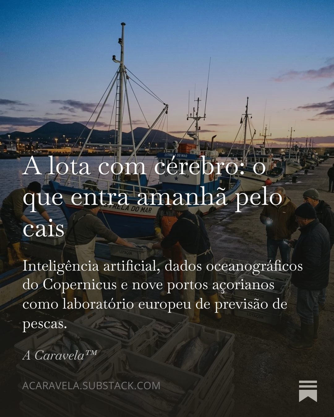 A lota com cérebro
