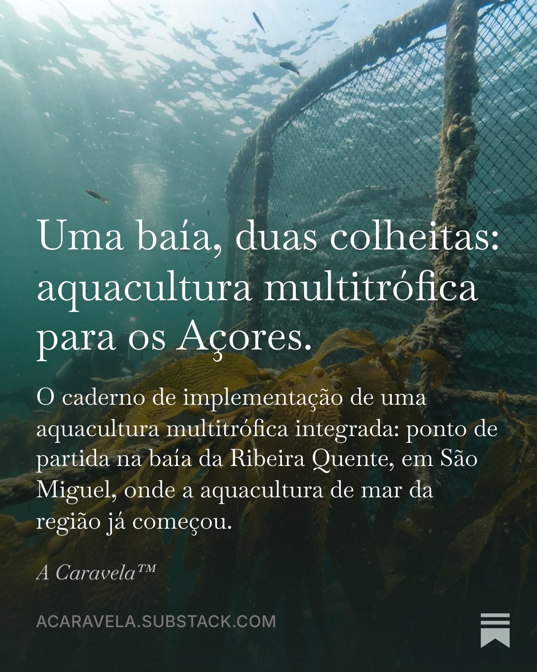 Aquacultura multitrófica integrada nos Açores, com cultivo marinho junto à costa.