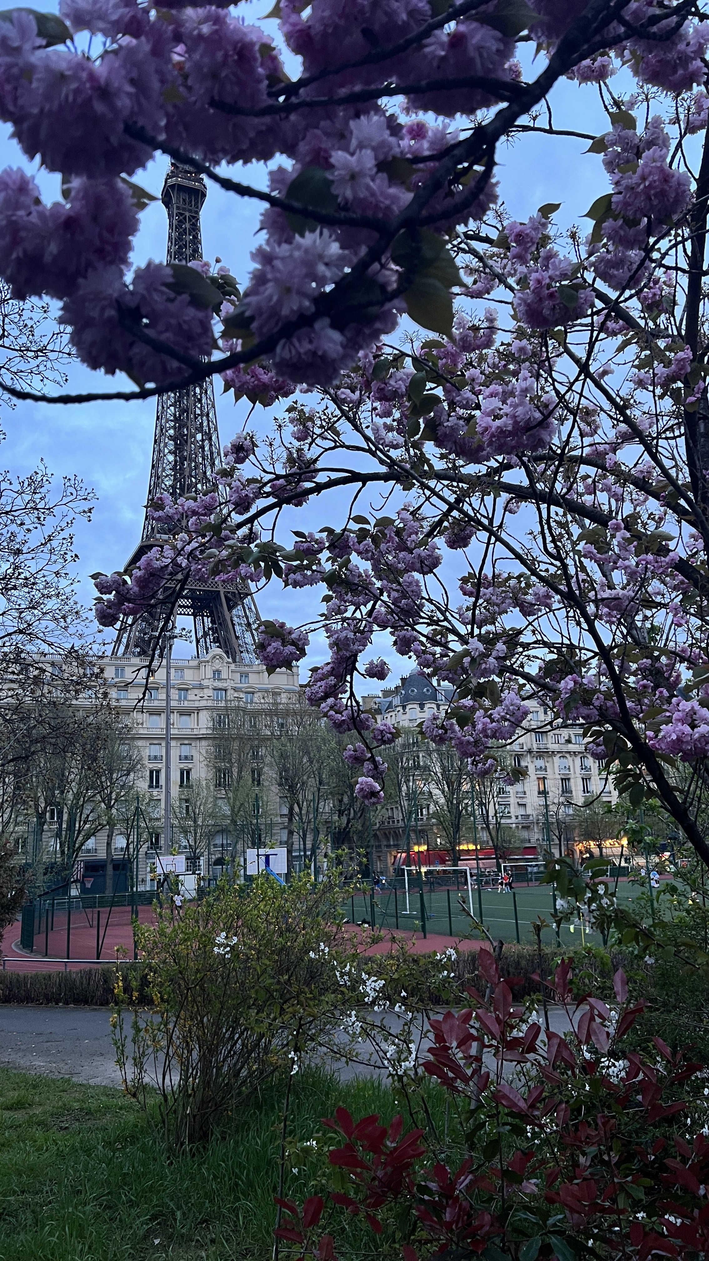Paris...