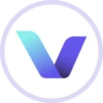 Vector Infrastructure Group